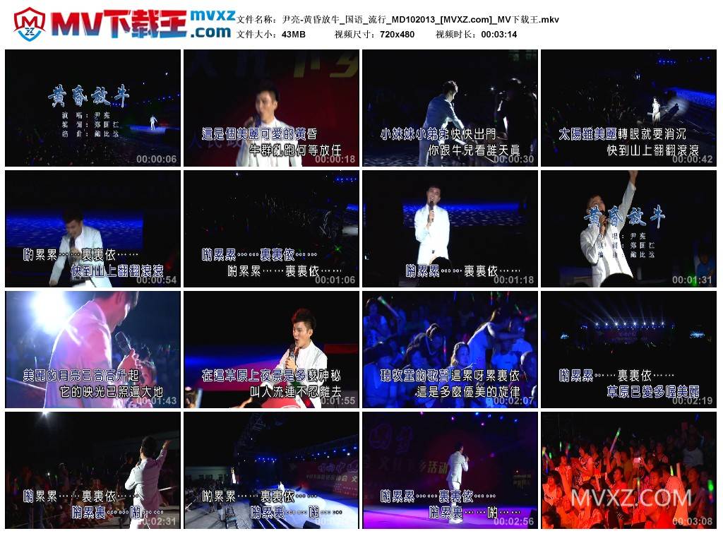 尹亮-黄昏放牛_国语_流行_MD102013